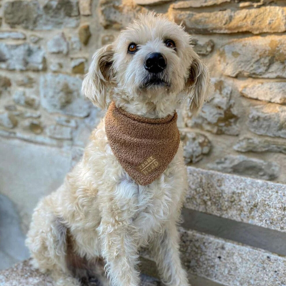 Prunkhund - Dog Bandana Teddy Tan