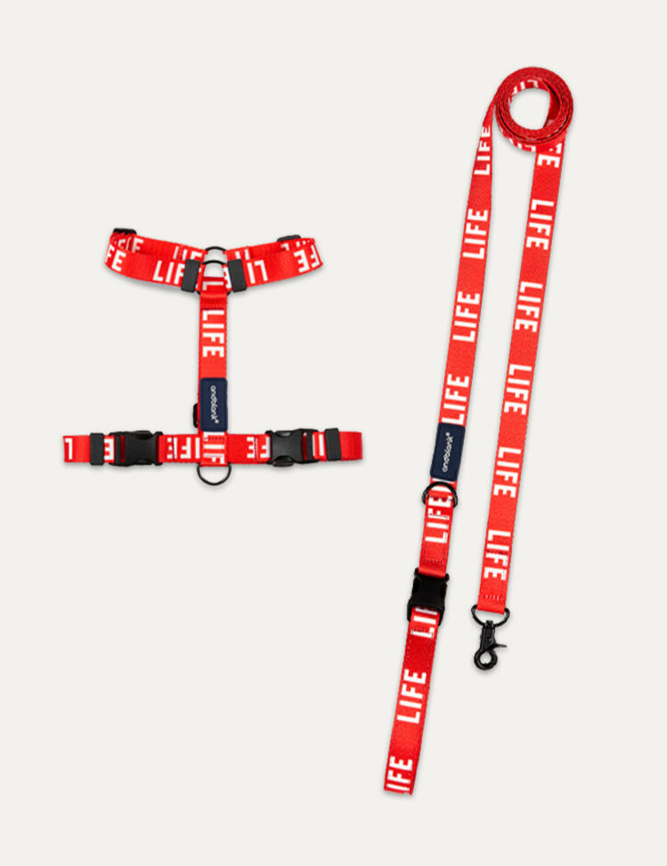 andblank Life Harness and Lead