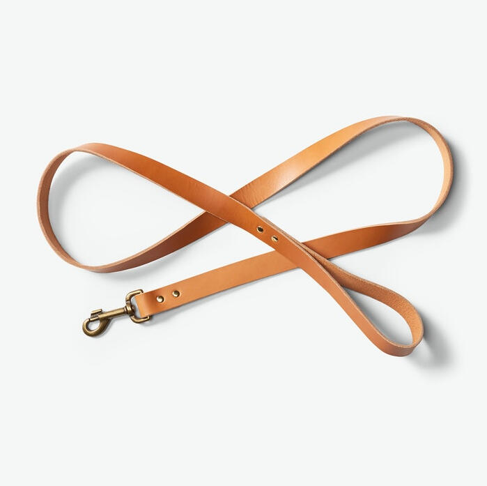 Leather Dog Lead