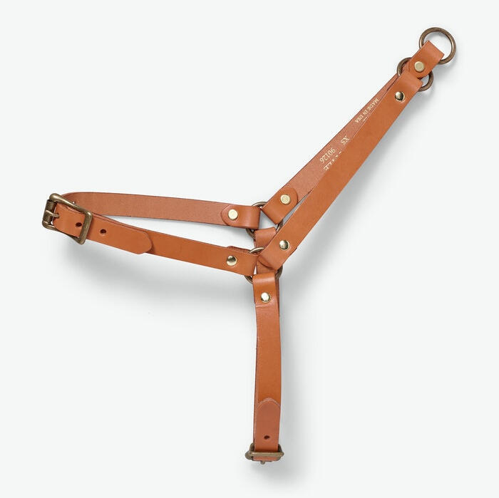 Leather Dog Harness