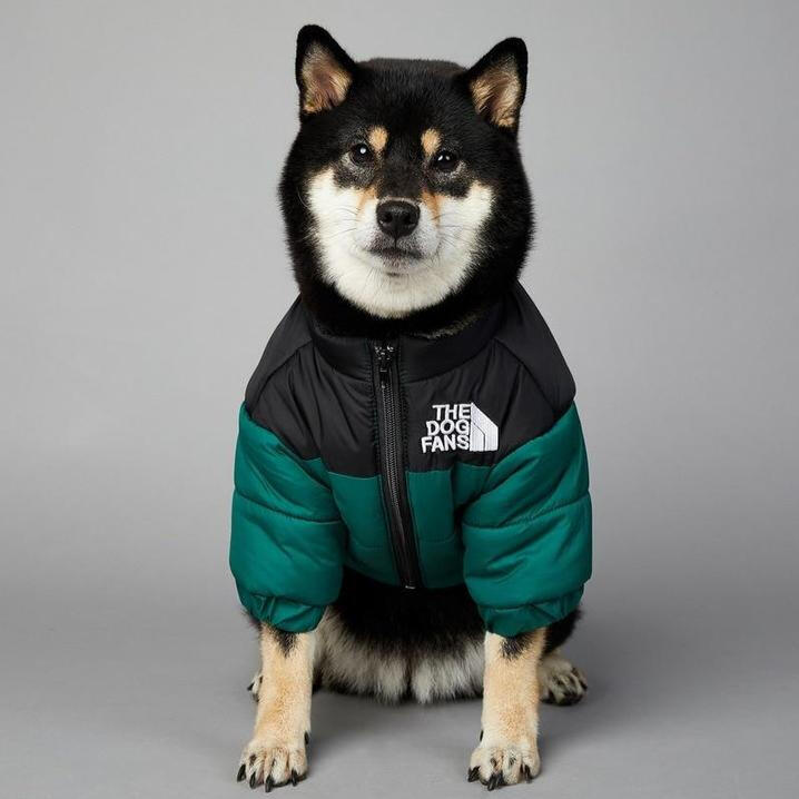 The Dog Face Winter Jacket