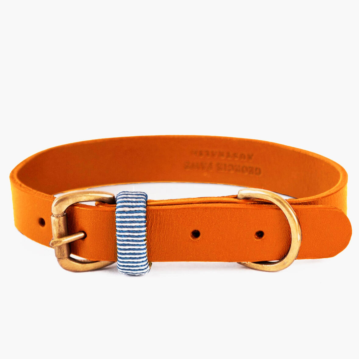 Georgie Paws College Collar Pumpkin