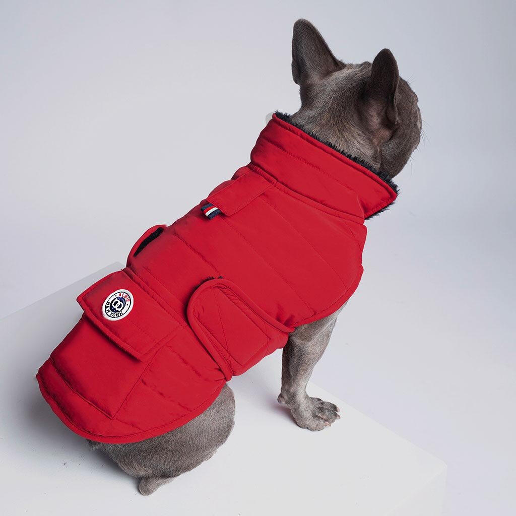 Albie Ski Patrol Jacket