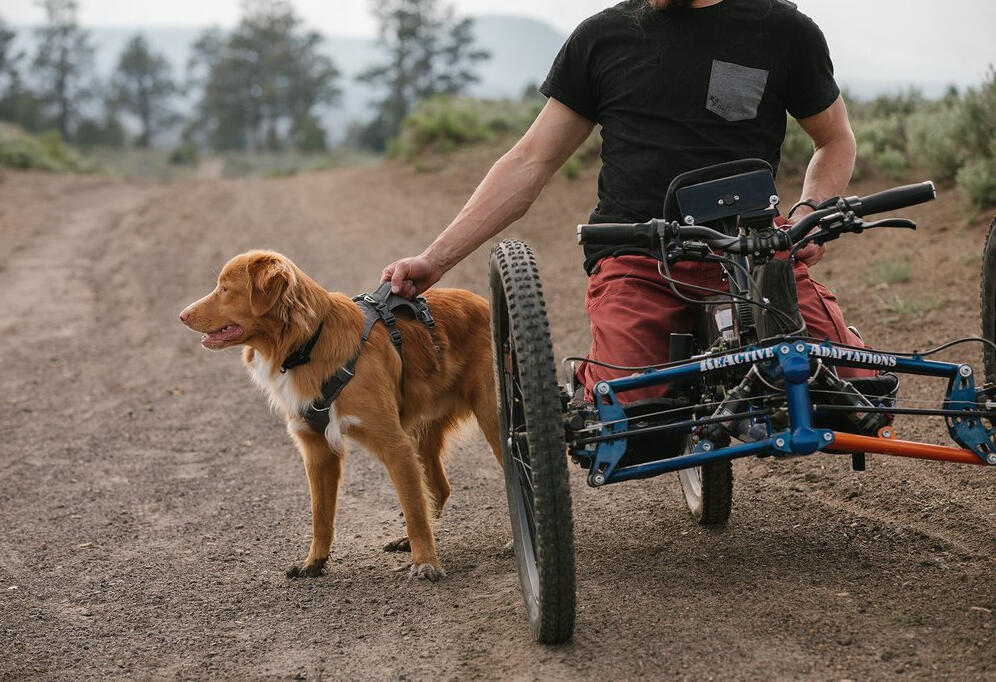 Dog Harness With Handle