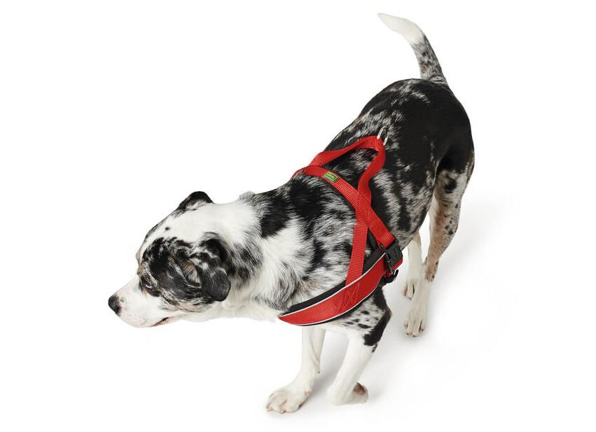 Hunter Dog Harness