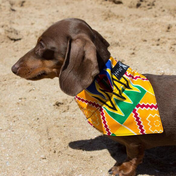 Kente Bandana