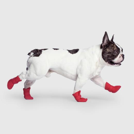 Dog Boots