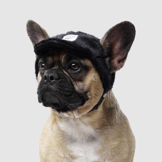 Faux Fur Dog Baseball Cap