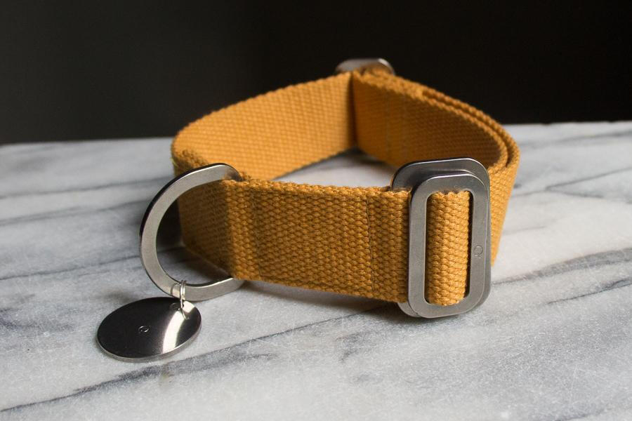 Mustard Dog Collar