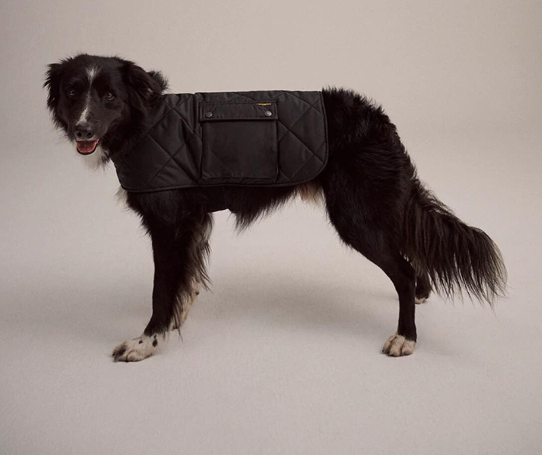 Drizabone - Rocky Dog Coat