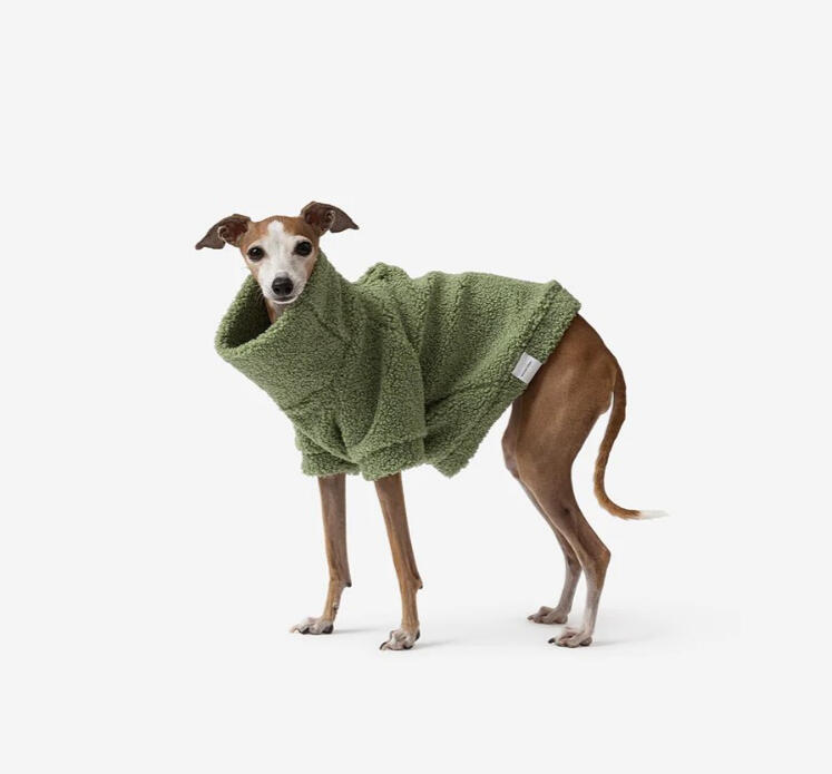 Mister Woof - Sage Teddy Jumper