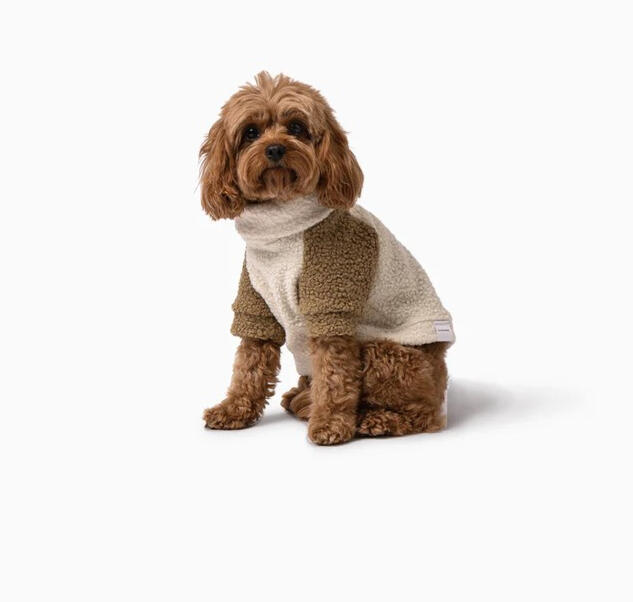 Mister Woof - Tate Teddy Jumper