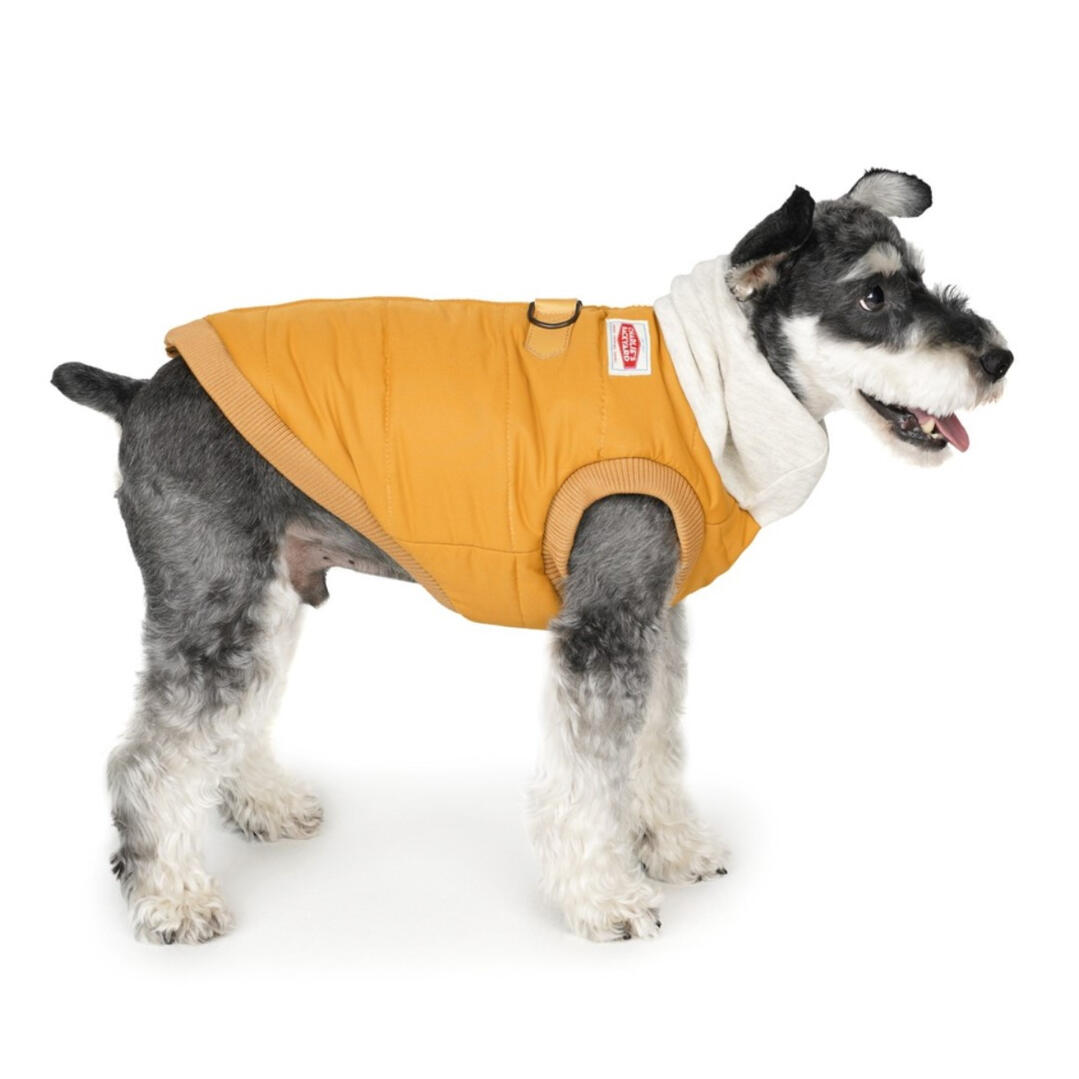 Charlie&#39;s Backyard - Warm Up Harness Jacket