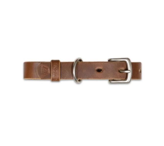 Andar - The Dog Collar