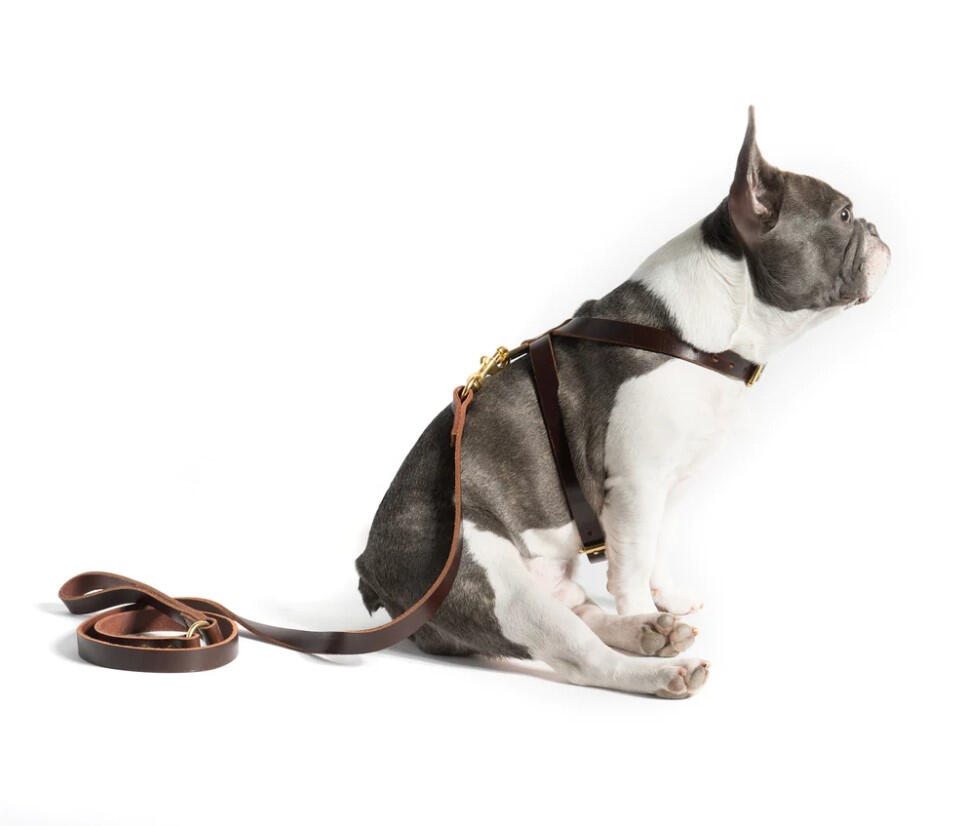 Mr. Dog New York - Dog K-Harness &amp; Leash