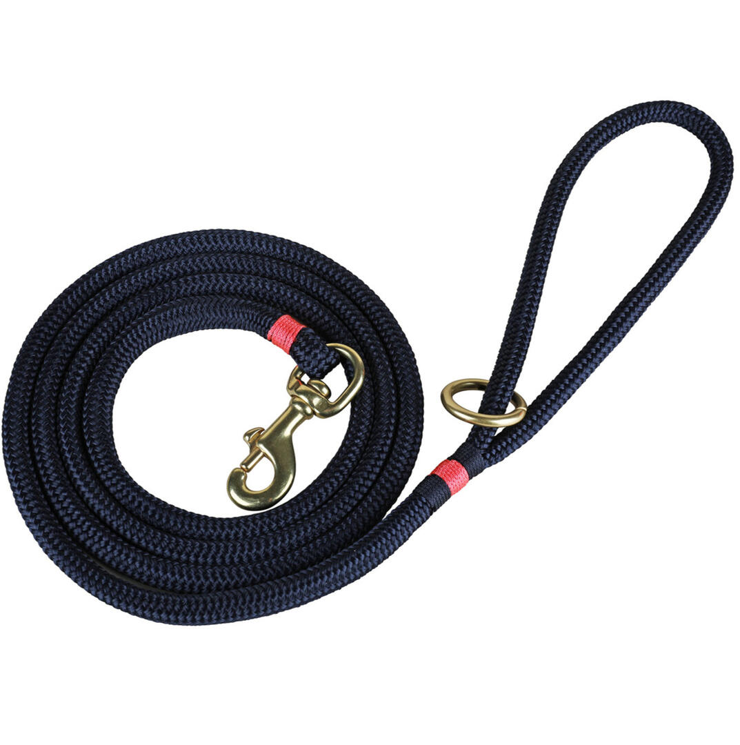 Maine Dock Line Dog Lead