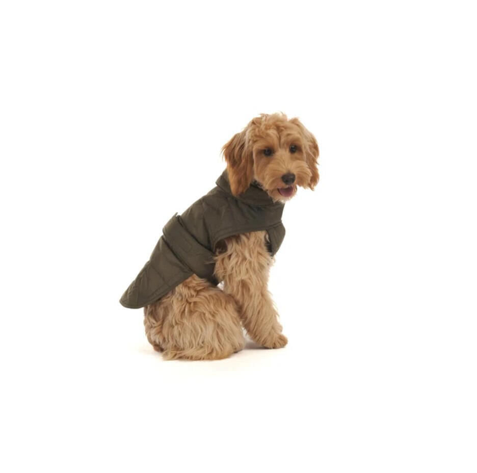 Mungo and Maud - Quilted Dog Coat