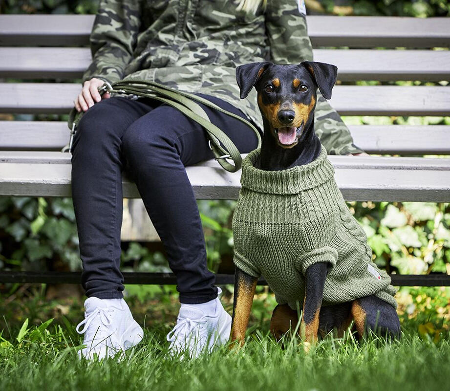 Wolters Dog Knitted Sweater