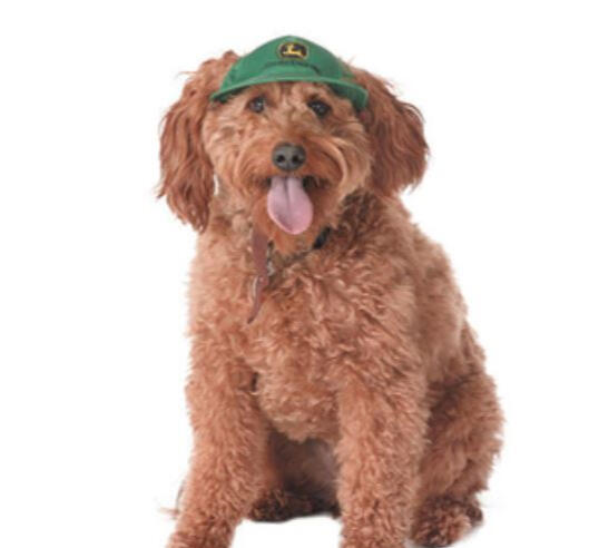 John Deere Dog Hat