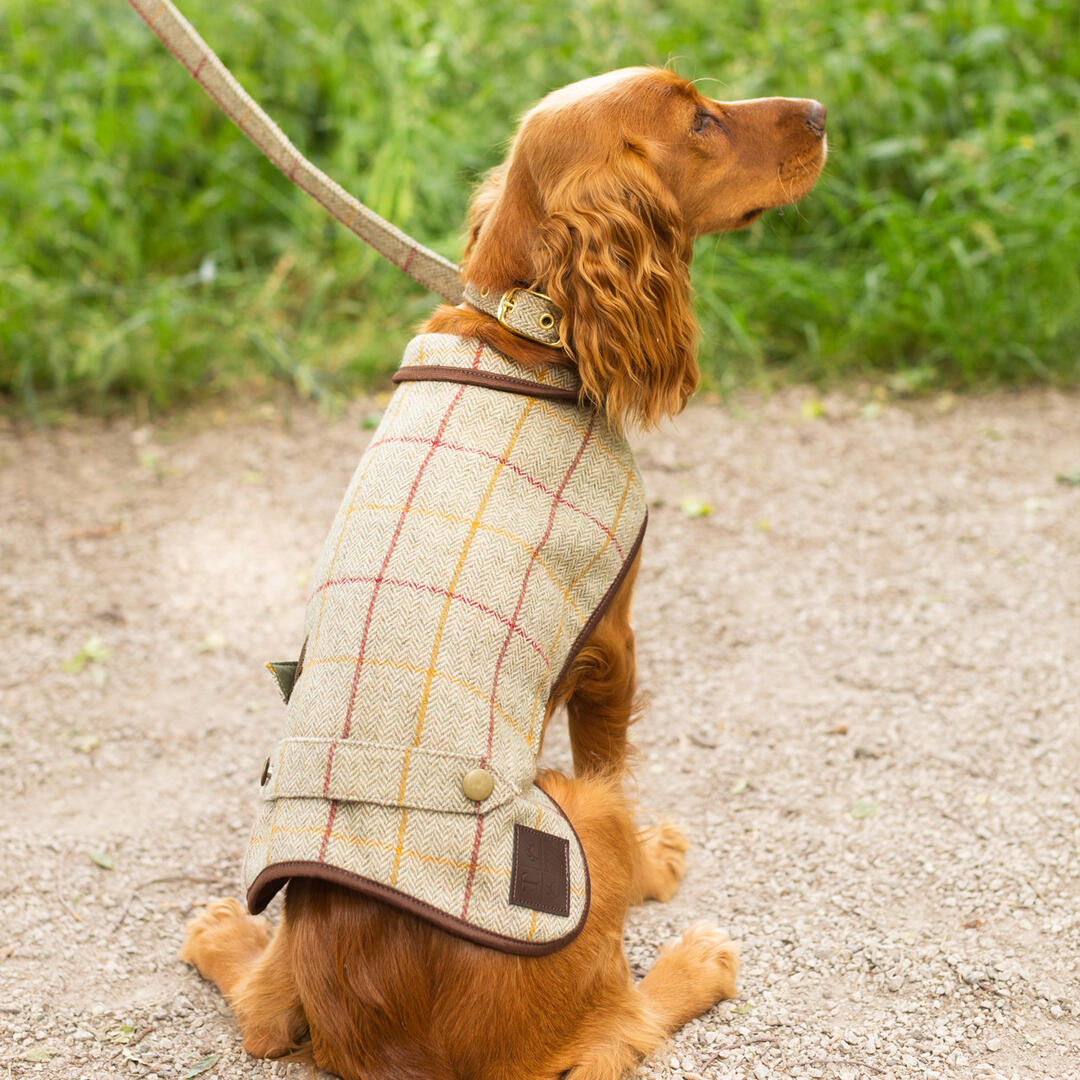 Tweed Mill Tweed Dog Coat