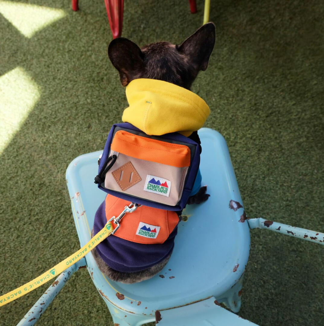 Charlie&#39;s Backyard Backpack
