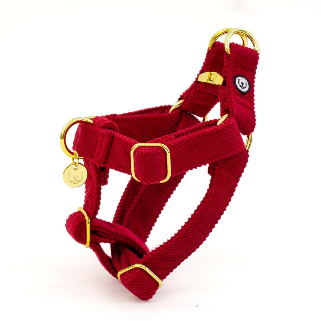 Eat Play Wag - Carmine Corduroy Duo-Clip™ Harness